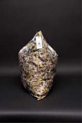 Black and Gold Splatter