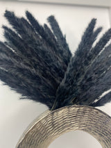 Black Pampas