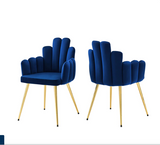 Shari's Velvet Dining Chair (Set of 2)