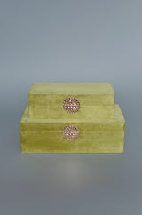 Olive and Gold Velvet Box Set of 2