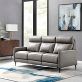 Leather Sofa in Gray